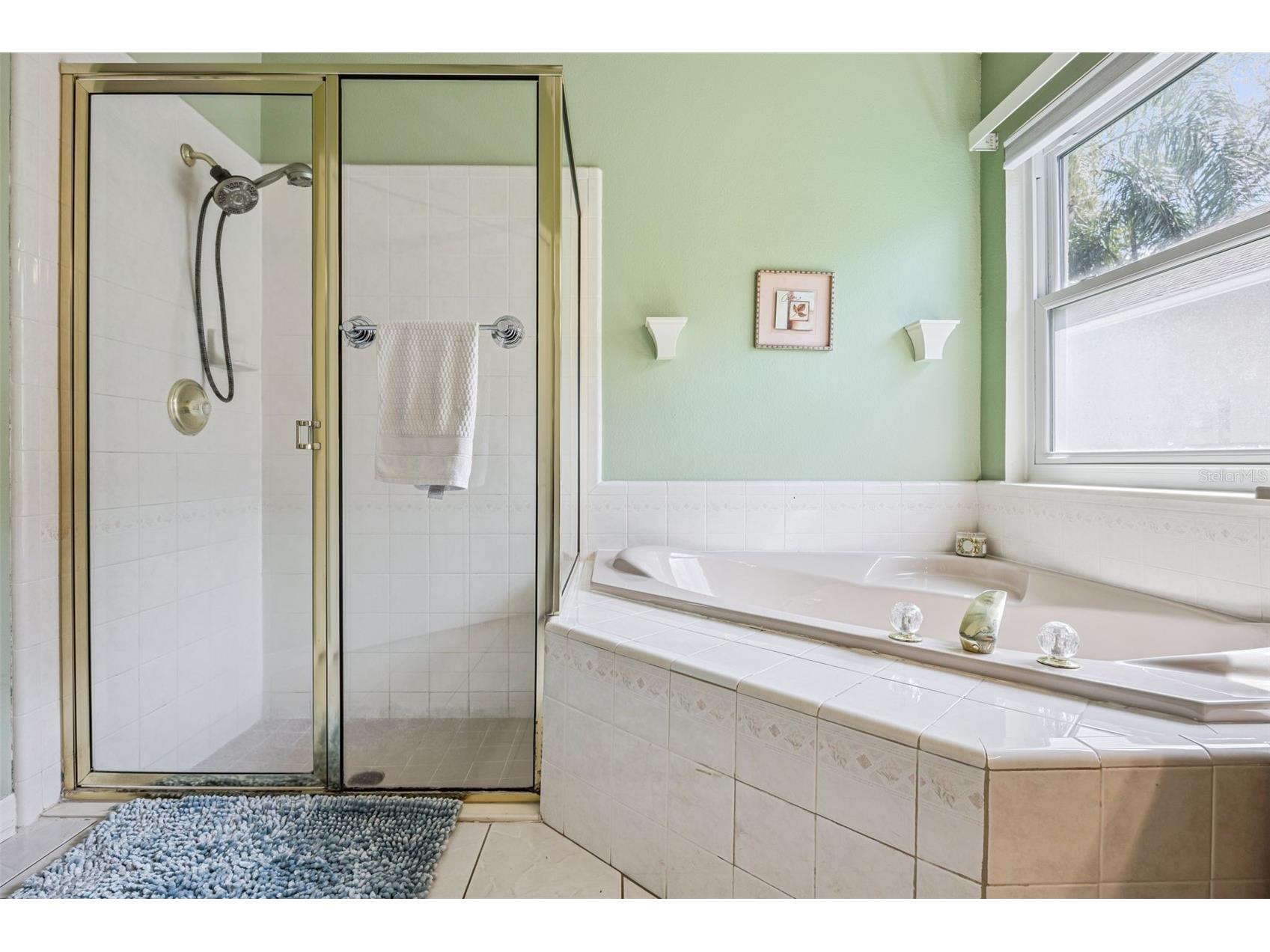 2313 Runyon Court Orlando FL 32837 O6375429 image33