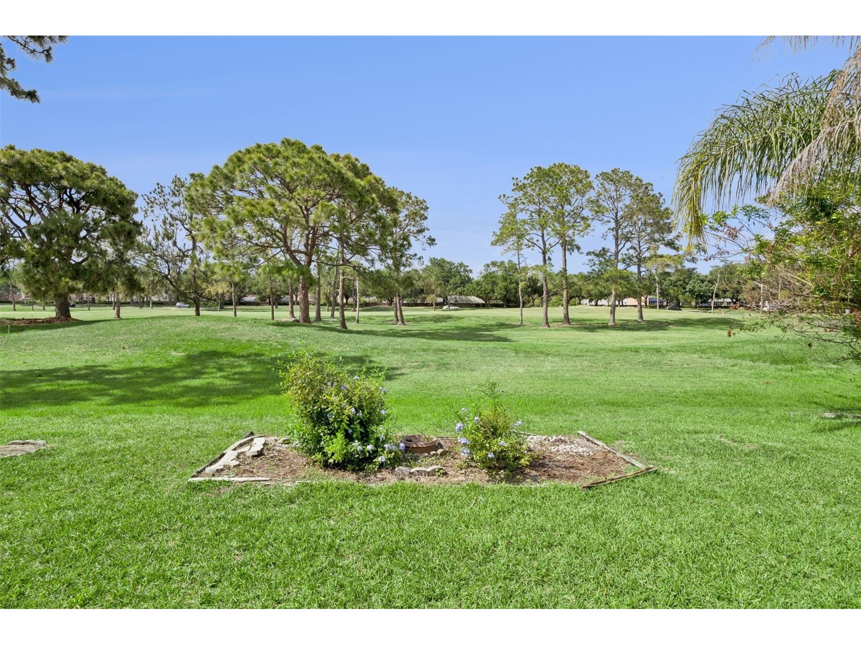 2313 Runyon Court Orlando FL 32837 O6375429 image44