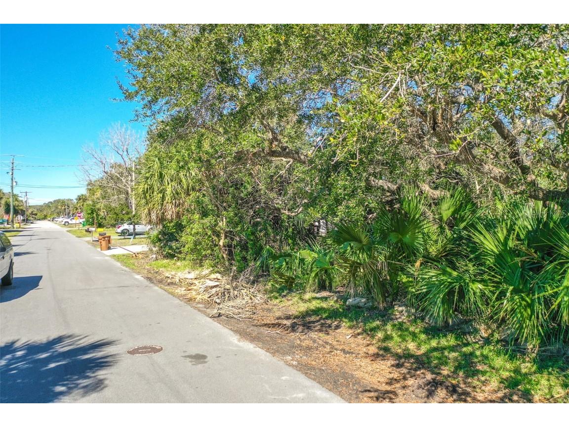 2313 S Flagler Avenue Flagler Beach FL 32136 FC289138 image1