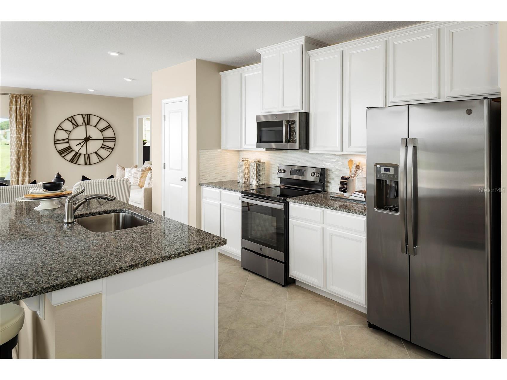 2313 Scenic Park Loop Wimauma FL 33598 W7881959 image7