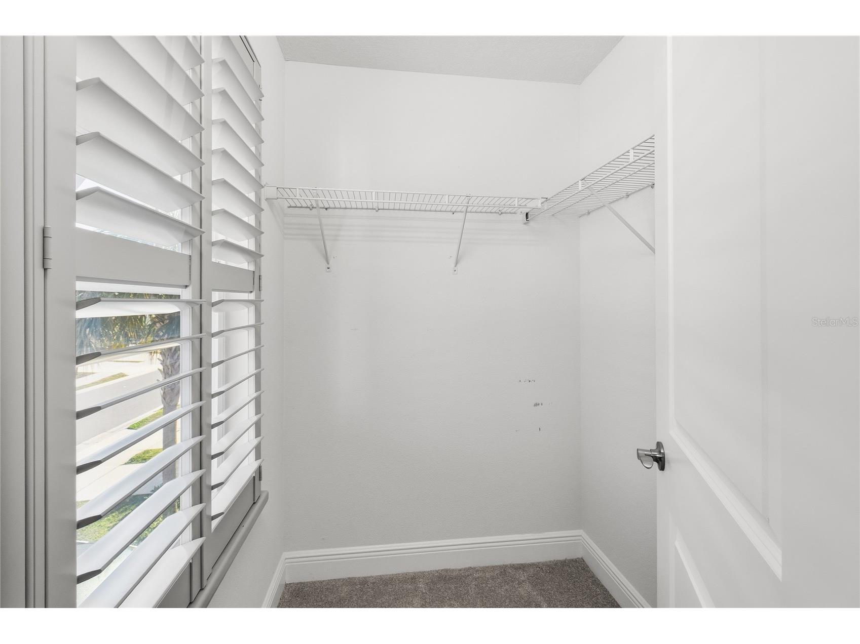 2313 Sunset Wind Loop Oldsmar FL 34677 TB8461950 image22