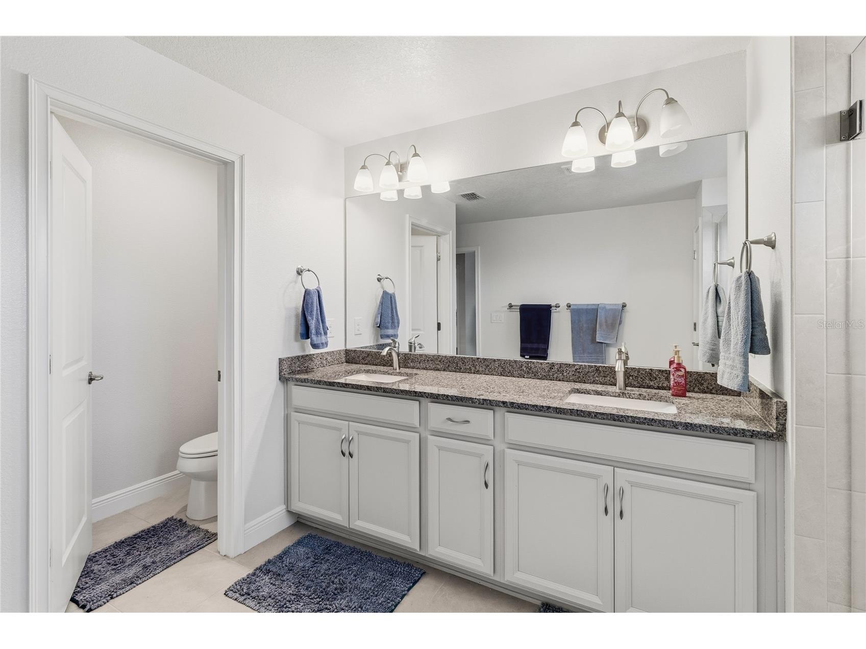 2313 Sunset Wind Loop Oldsmar FL 34677 TB8461950 image34