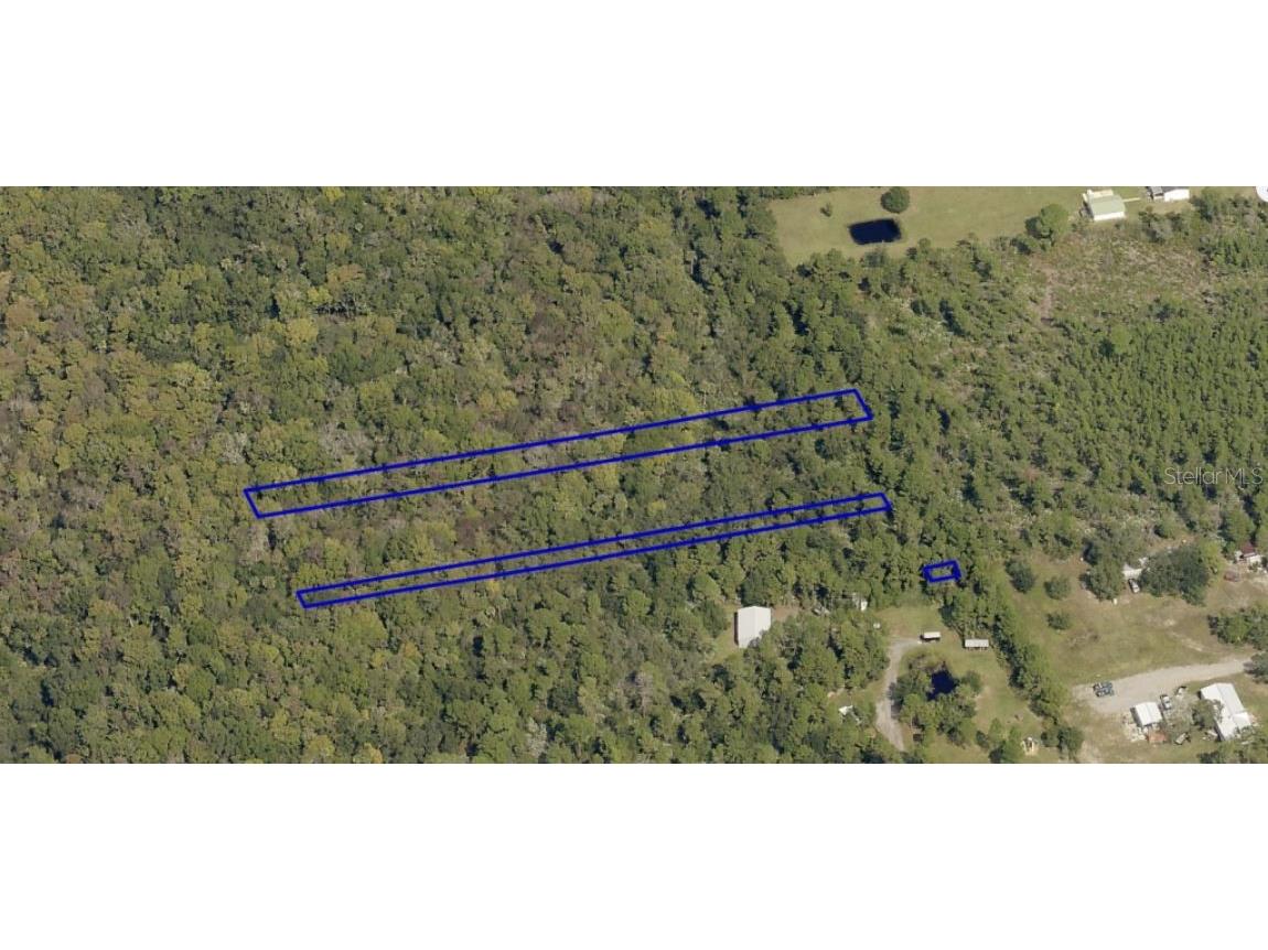 2313 Us Highway 1 Mims FL 32754 O6239773 image2