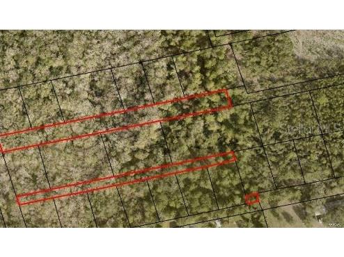 2313 Us Highway 1 Mims FL 32754 O6239773 image3