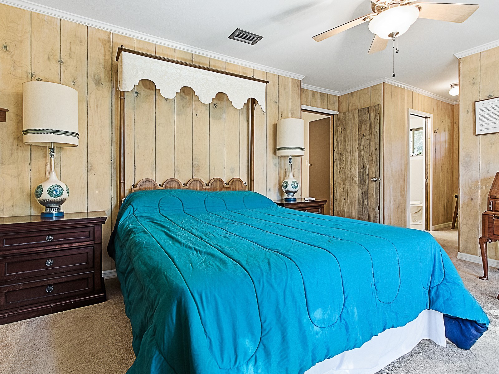 2314 Hillside Drive Mount Dora FL 32757 G5106878 image28