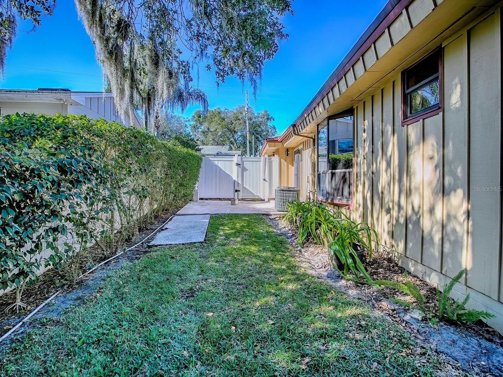 2314 Hillside Drive Mount Dora FL 32757 G5106878 image41