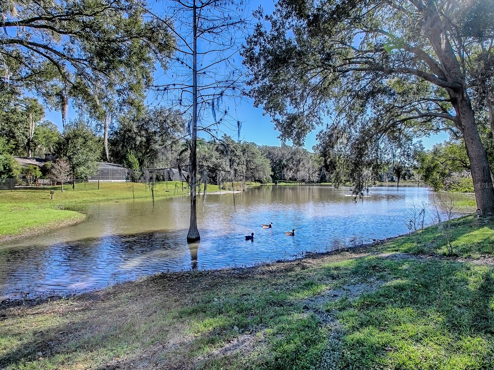 2314 Hillside Drive Mount Dora FL 32757 G5106878 image43