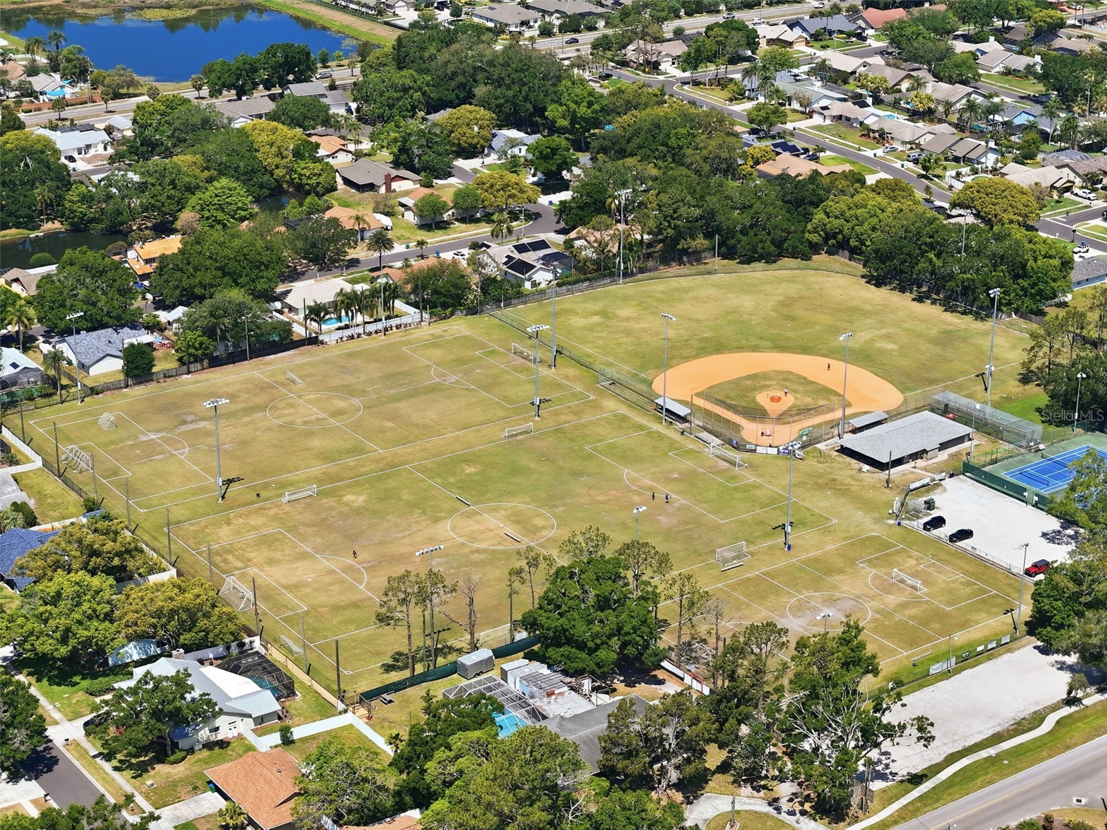 2314 Landon Terrace Palm Harbor FL 34683 TB8492430 image29