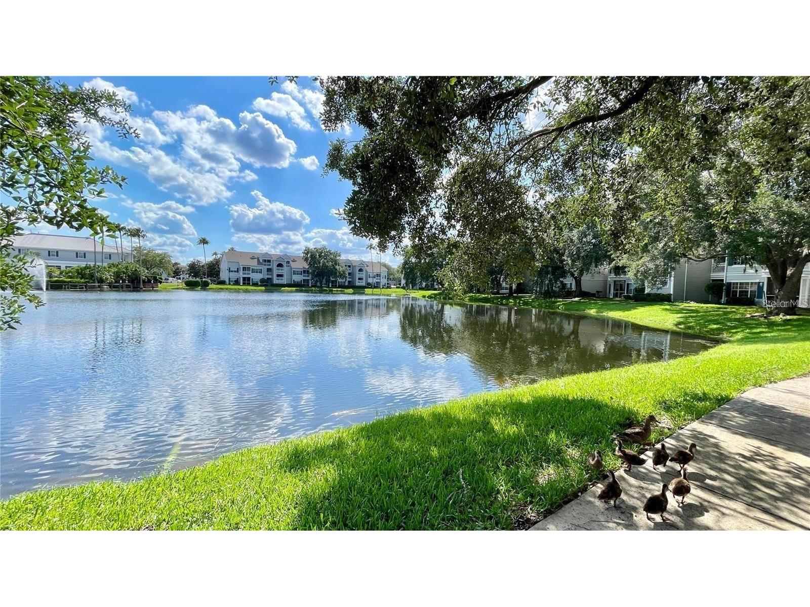 2314 Midtown Terrace #1125 Orlando FL 32839 O6376004 image19