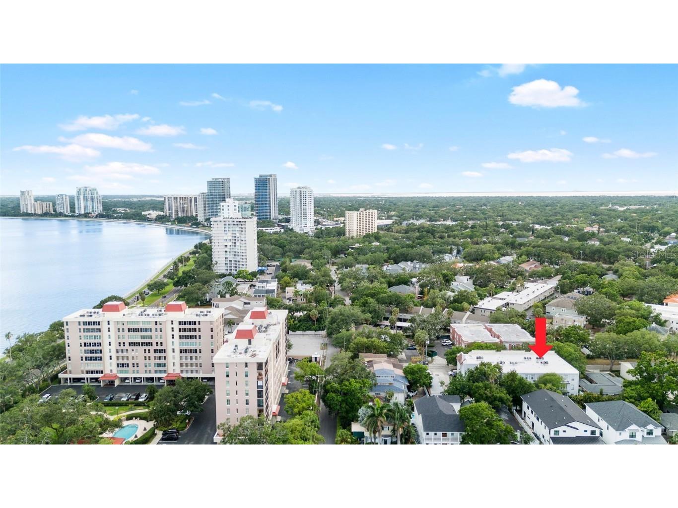 2314 S Clewis Court #106 Tampa FL 33629 TB8368457 image1