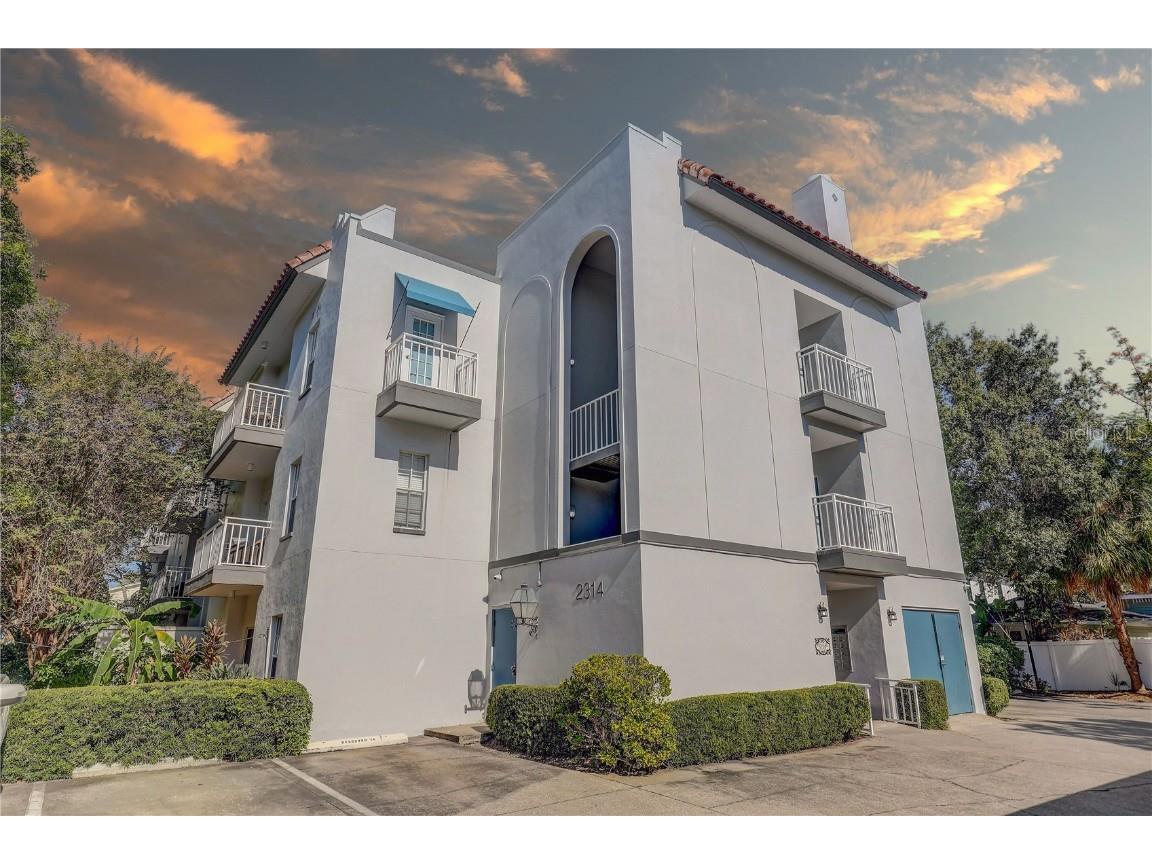 2314 S Clewis Court #204 Tampa FL 33629 TB8446767 image1