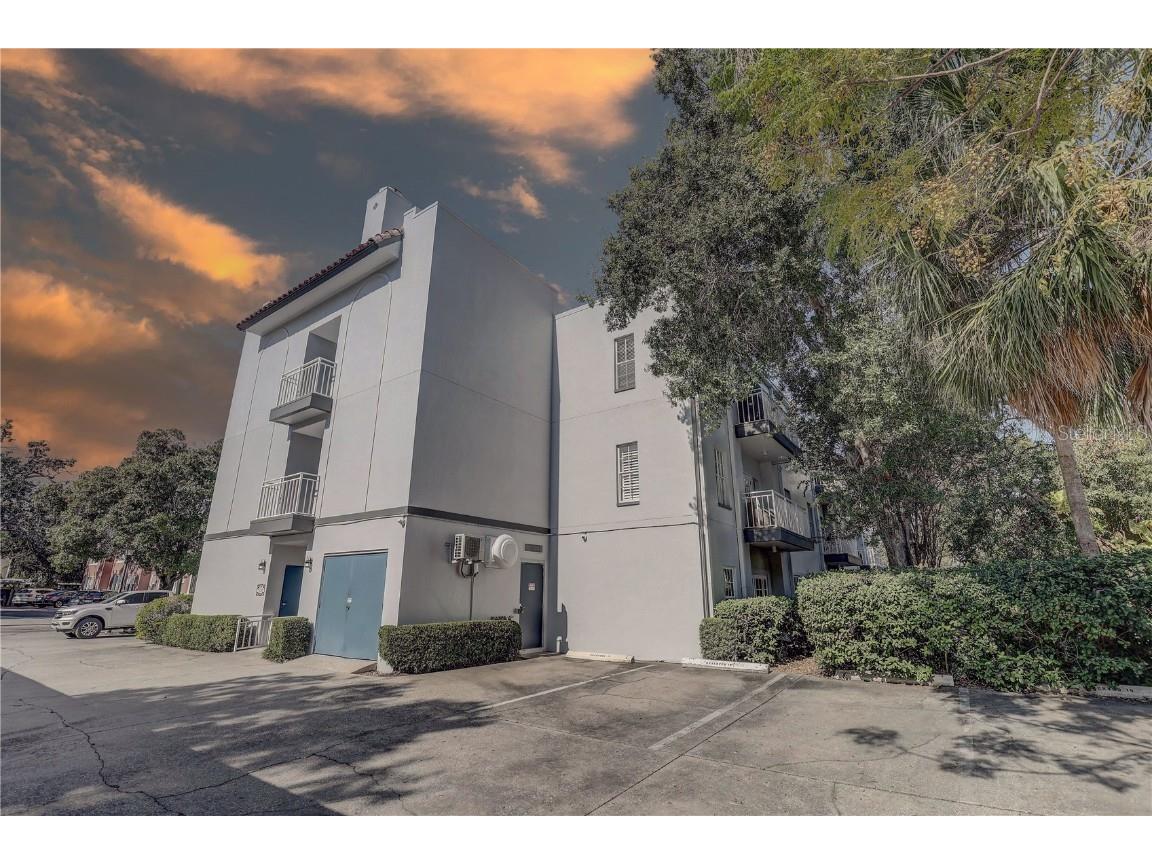 2314 S Clewis Court #204 Tampa FL 33629 TB8446767 image2