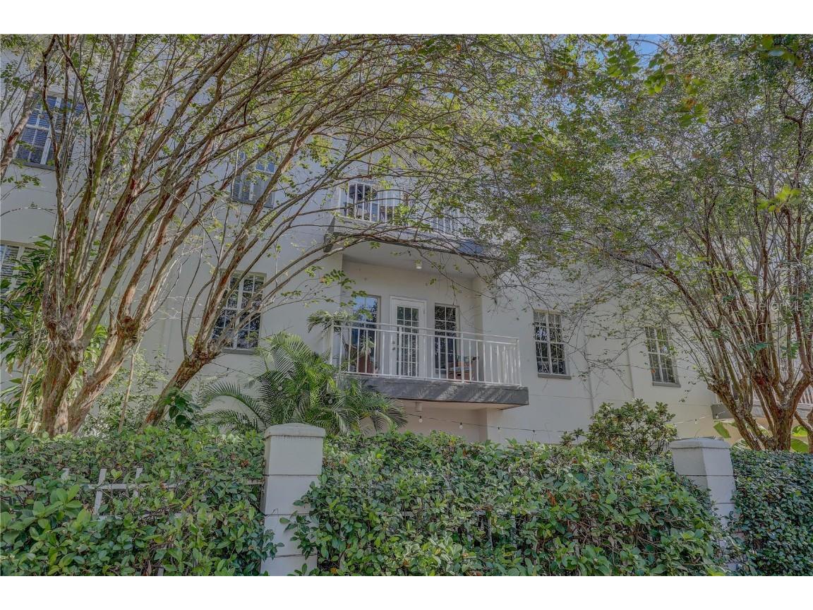 2314 S Clewis Court #204 Tampa FL 33629 TB8446767 image3