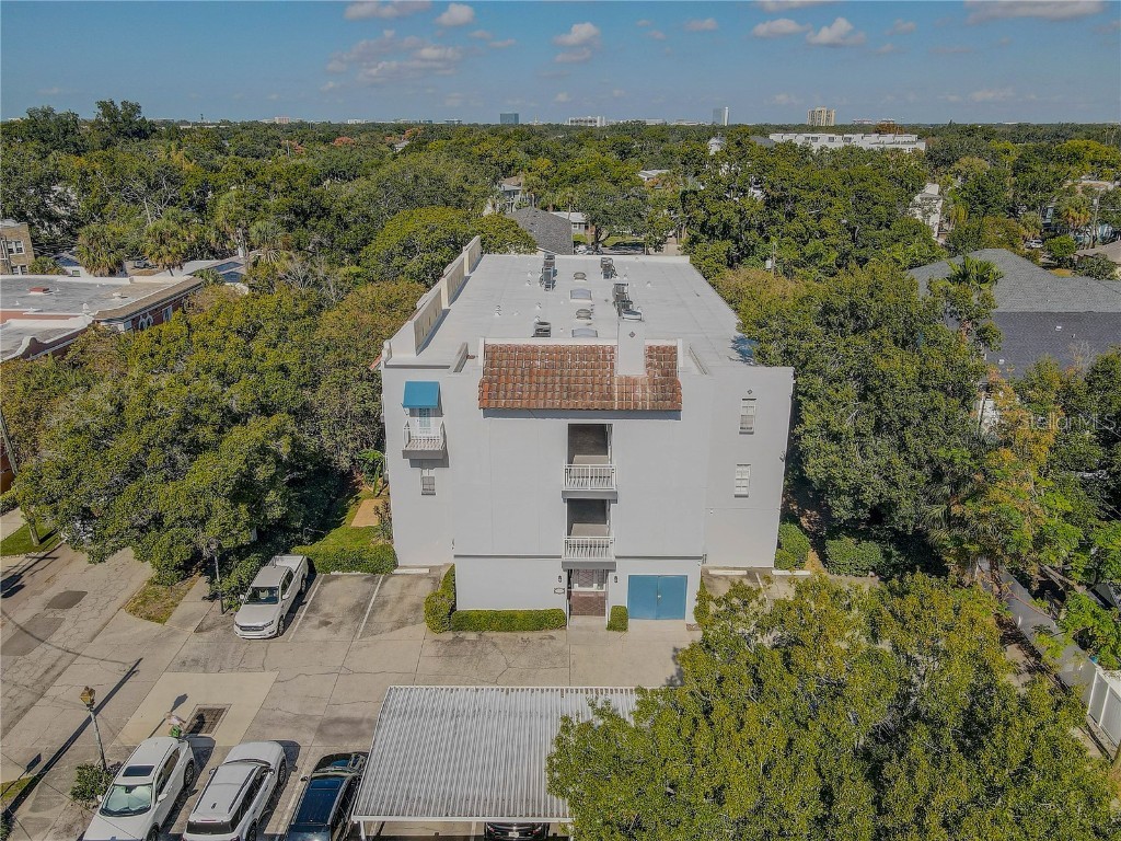 2314 S Clewis Court #204 Tampa FL 33629 TB8446767 image33