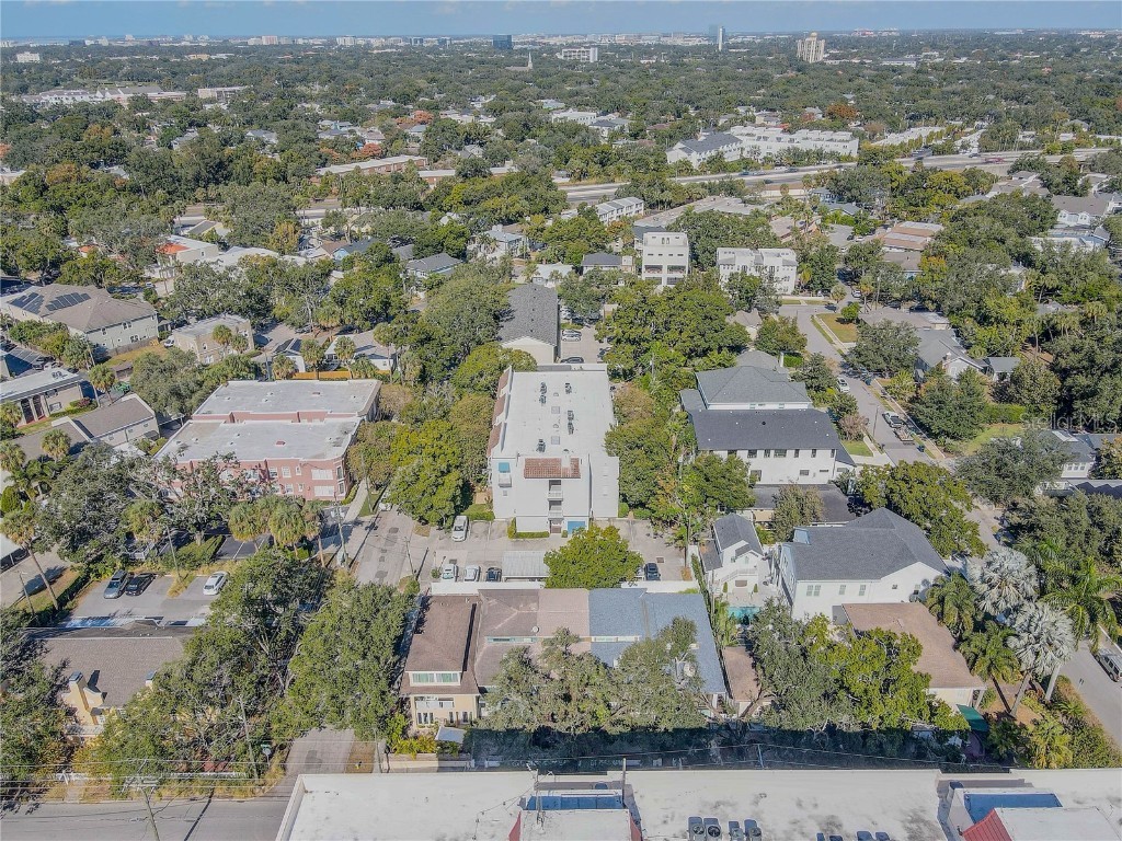 2314 S Clewis Court #204 Tampa FL 33629 TB8446767 image34