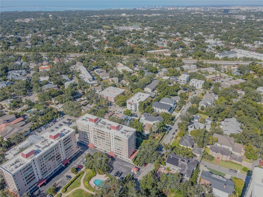 2314 S Clewis Court #204 Tampa FL 33629 TB8446767 image37