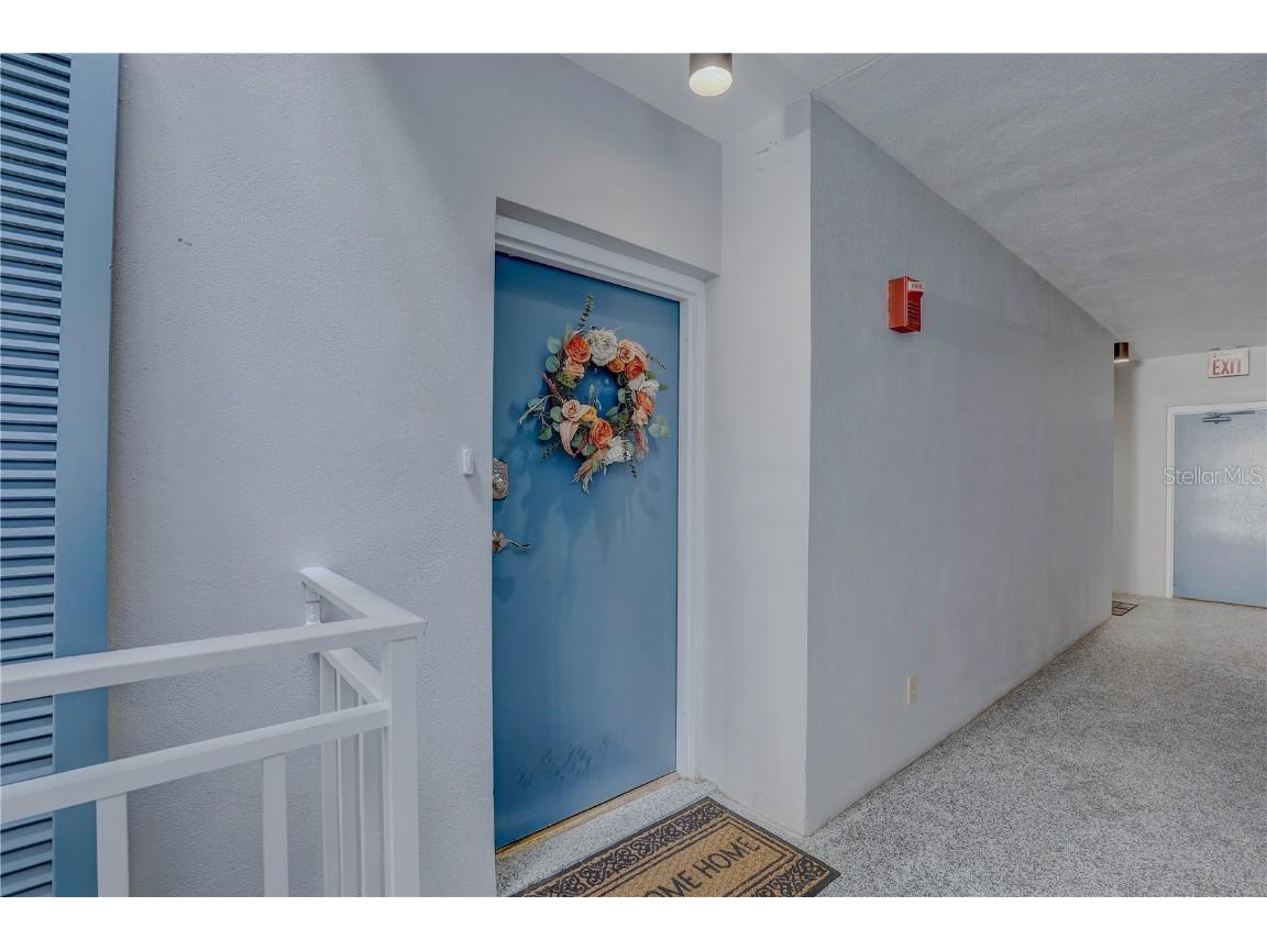 2314 S Clewis Court #204 Tampa FL 33629 TB8446767 image7