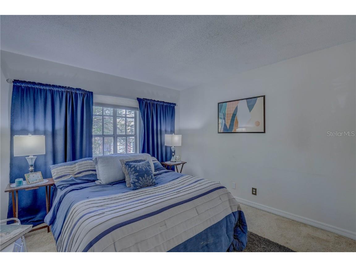 2314 S Clewis Court #204 Tampa FL 33629 TB8446767 image8