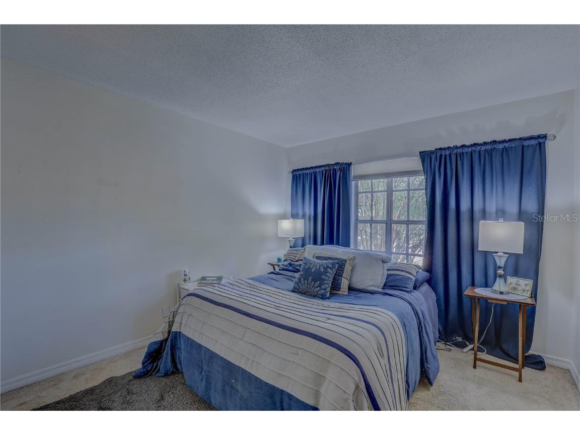 2314 S Clewis Court #204 Tampa FL 33629 TB8446767 image9