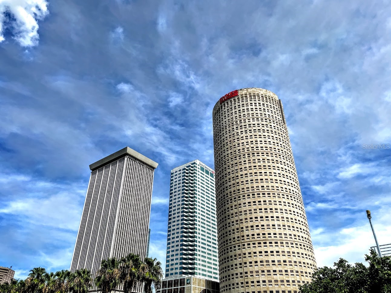 2314 S Clewis Court #204 Tampa FL 33629 TB8476042 image37