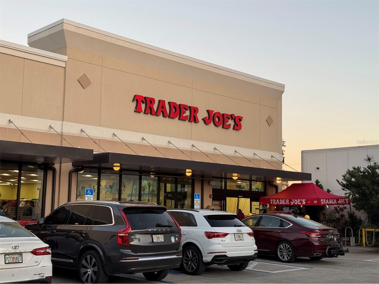 2314 S Clewis Court #204 Tampa FL 33629 TB8476042 image52