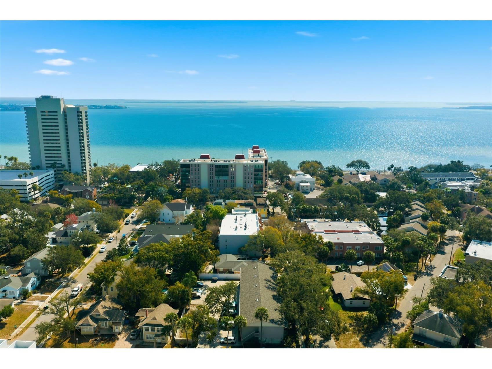 2314 S Clewis Court #204 Tampa FL 33629 TB8476042 image59
