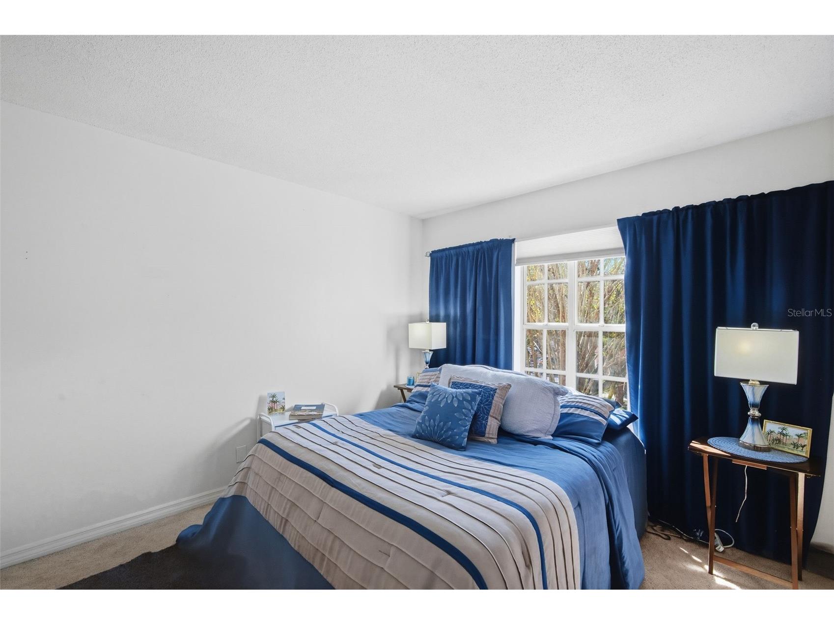 2314 S Clewis Court #204 Tampa FL 33629 TB8476042 image6