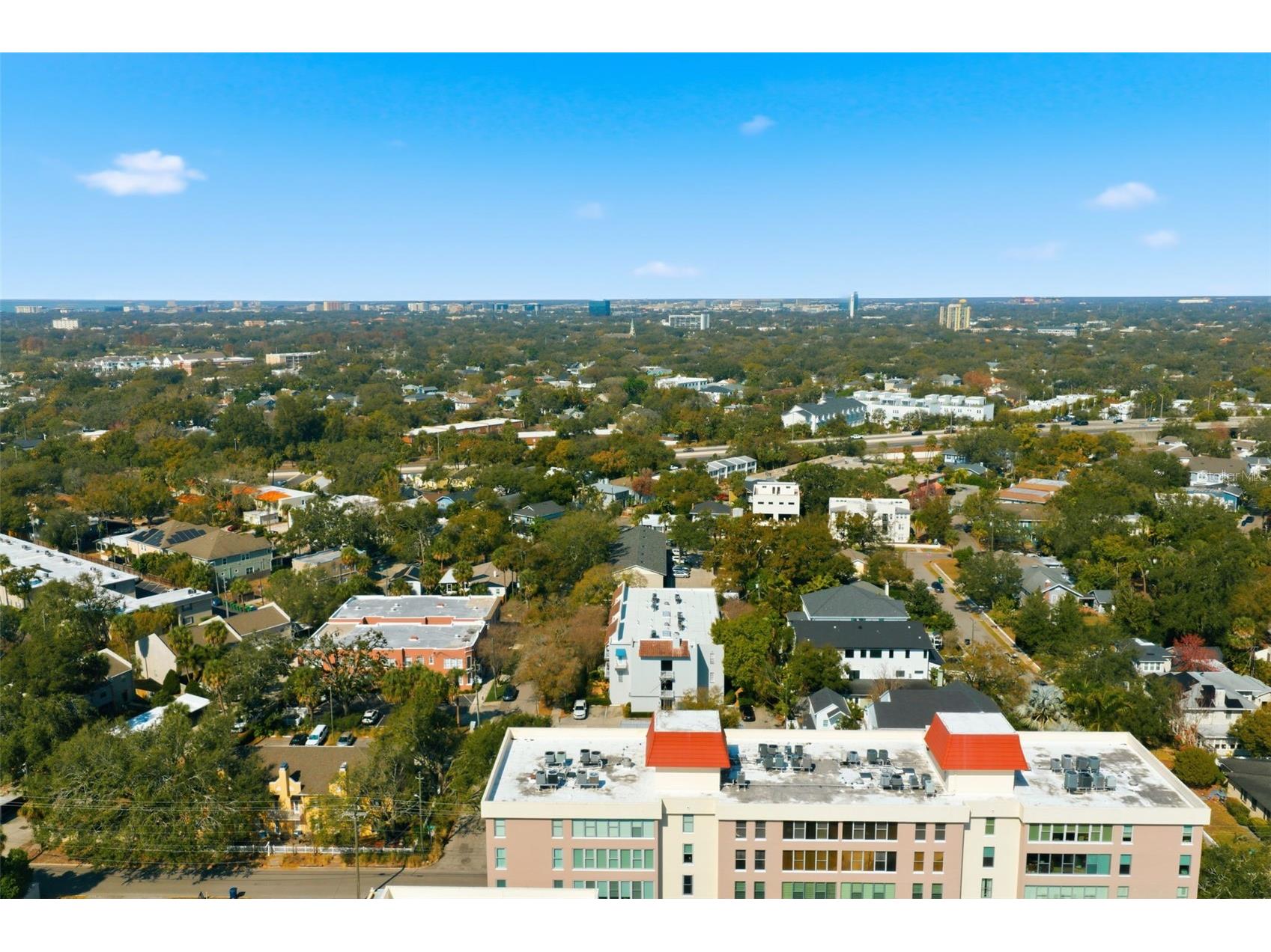 2314 S Clewis Court #204 Tampa FL 33629 TB8476042 image62