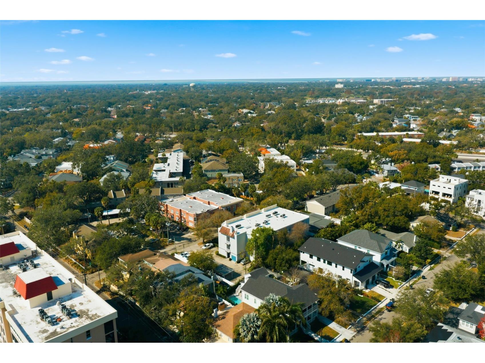 2314 S Clewis Court #204 Tampa FL 33629 TB8476042 image63