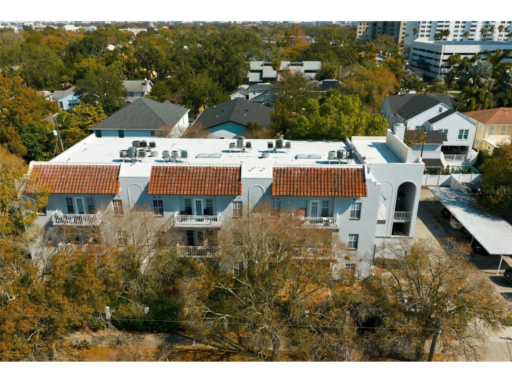 2314 S Clewis Court #204 Tampa FL 33629 TB8476042 image65