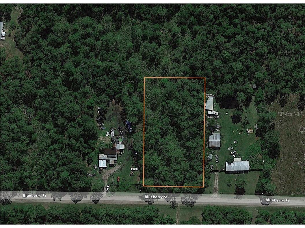 2315 Blueberry Street Bunnell FL 32110 T3534264 image1