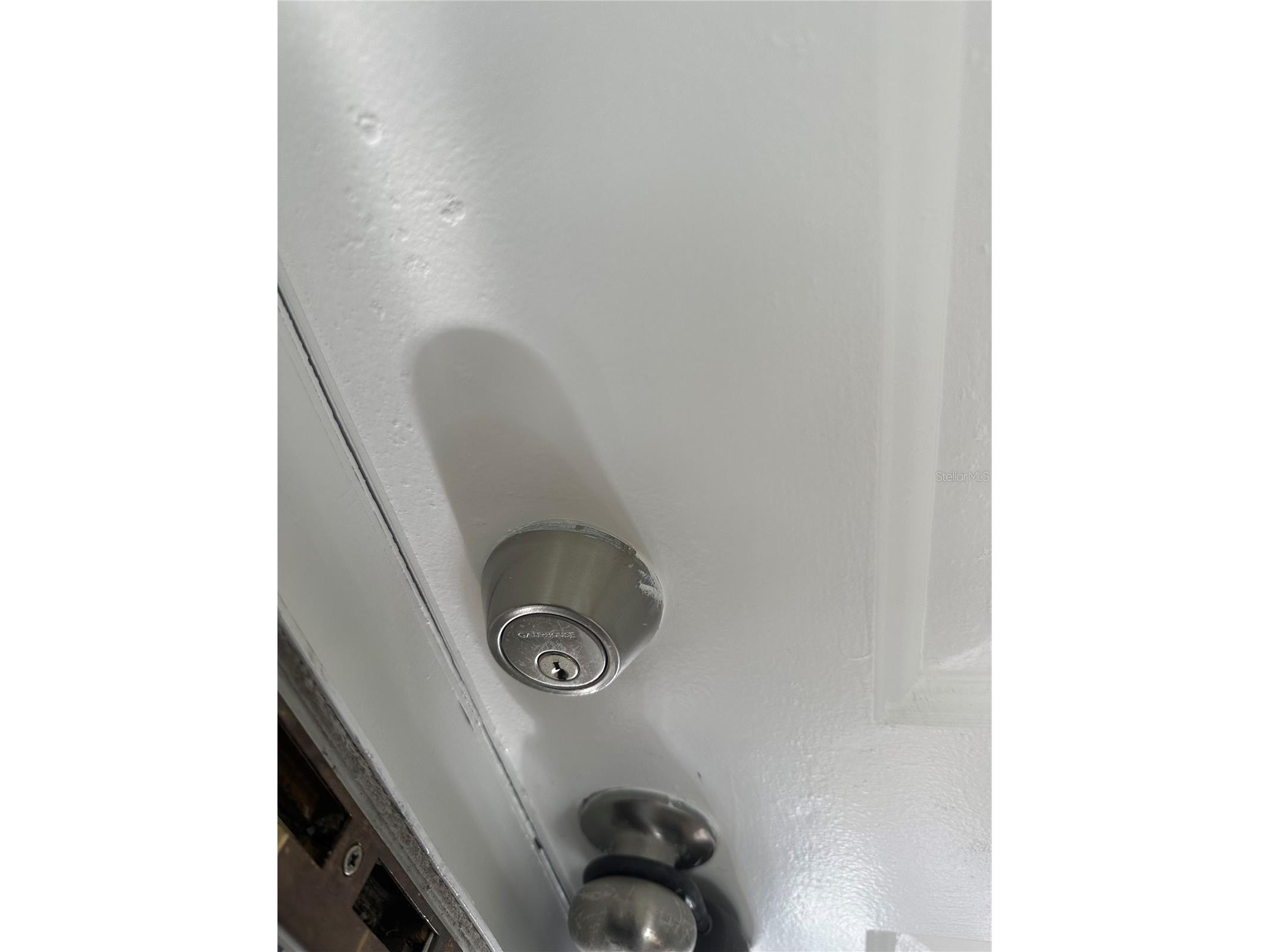 2315 Flamingo Lakes Drive Kissimmee FL 34743 S5145929 image2