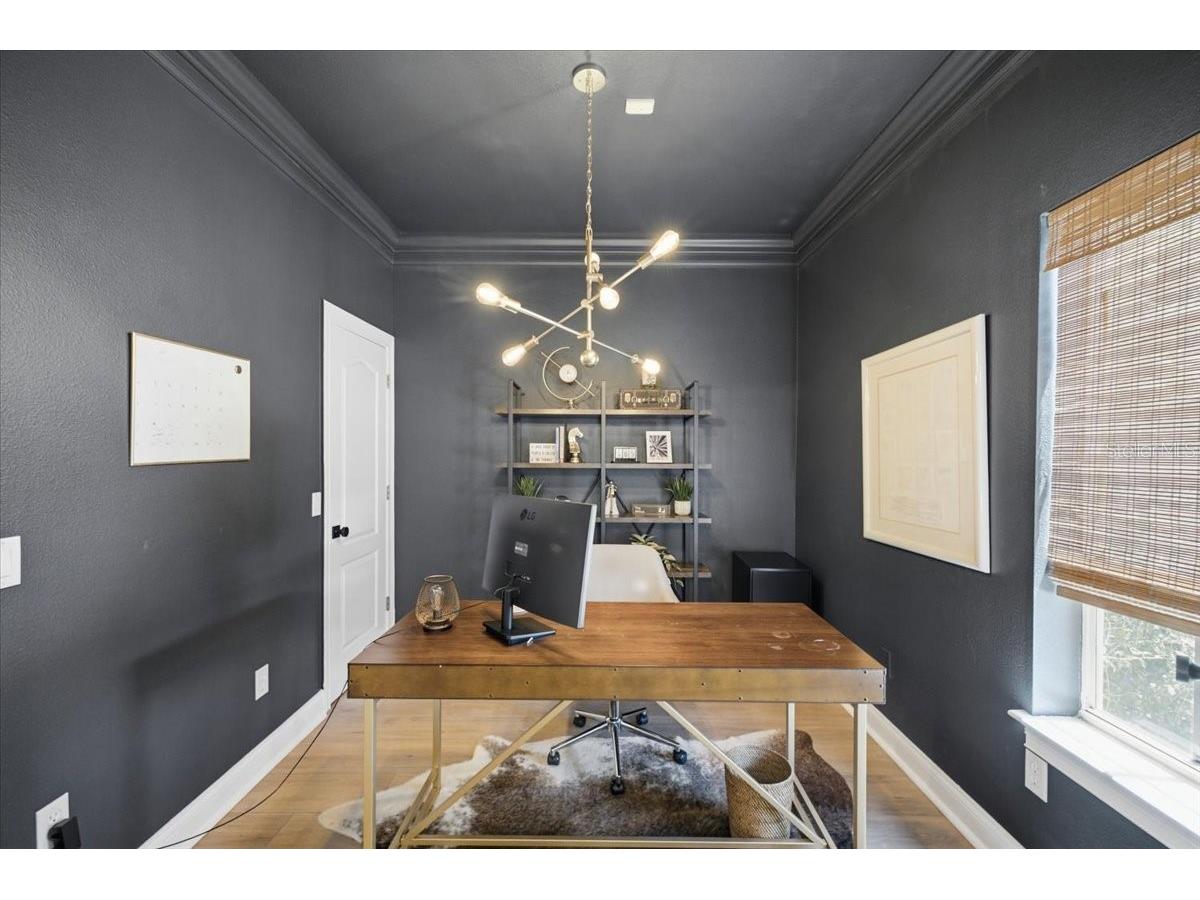 2315 W North A Street #3 Tampa FL 33609 TB8523463 image10