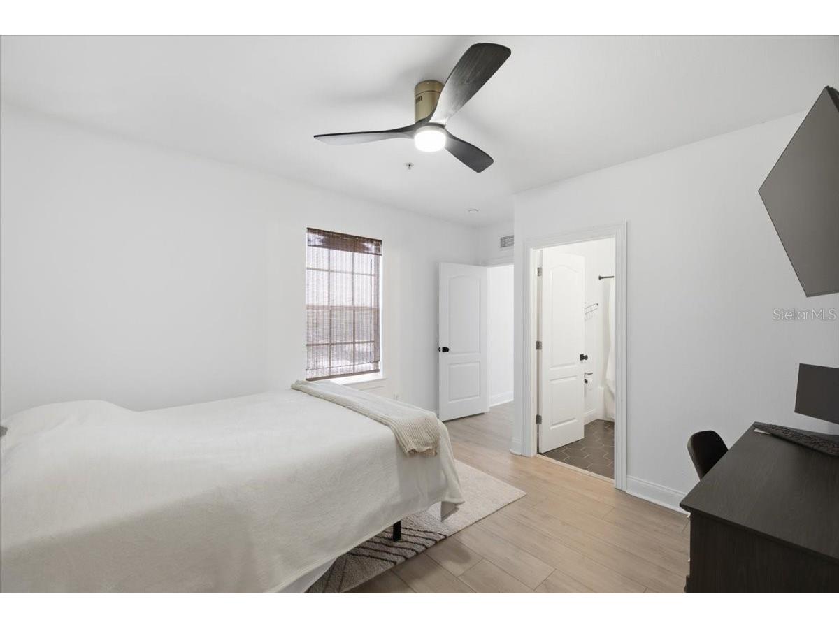 2315 W North A Street #3 Tampa FL 33609 TB8523463 image18