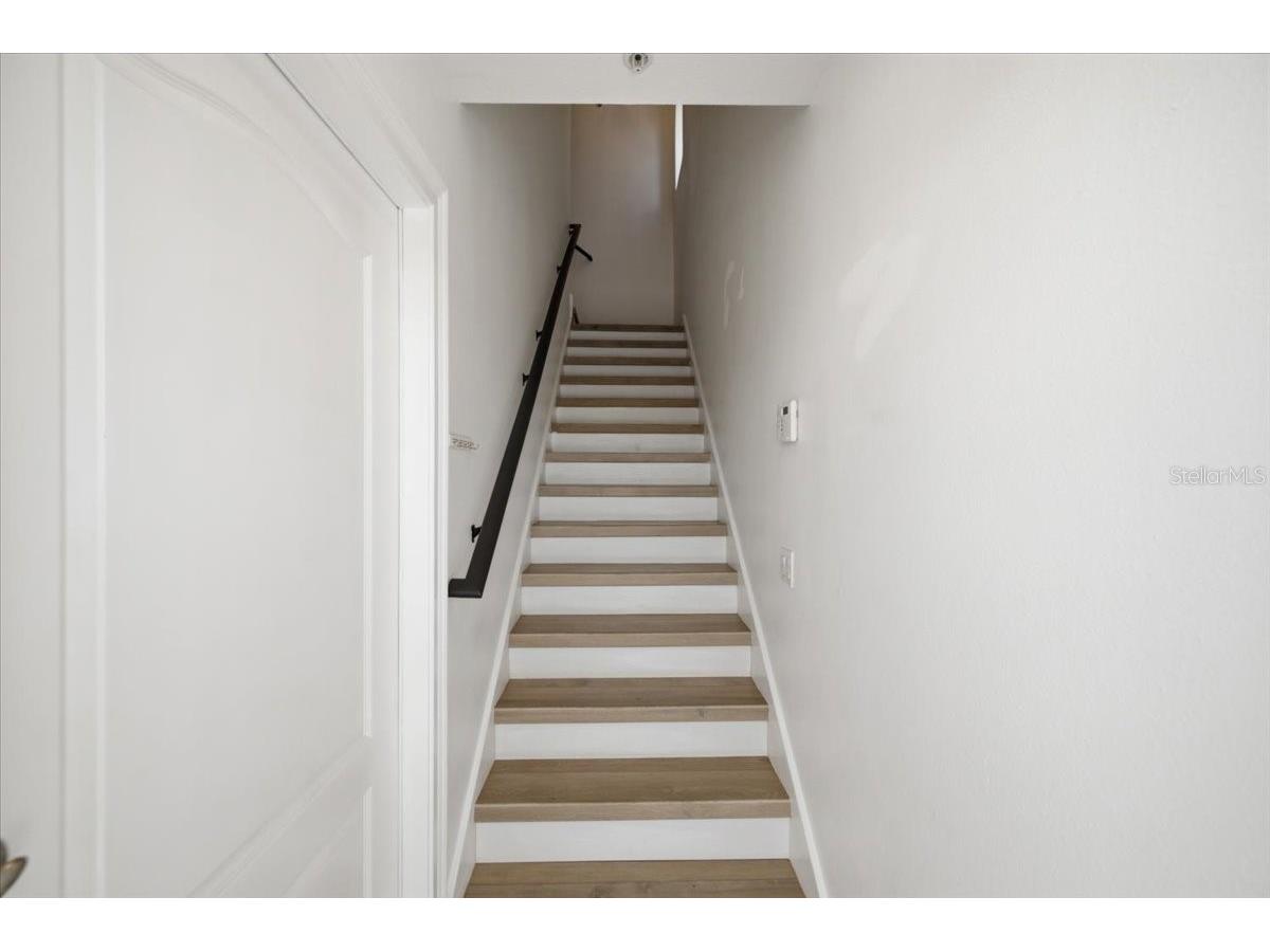 2315 W North A Street #3 Tampa FL 33609 TB8523463 image21