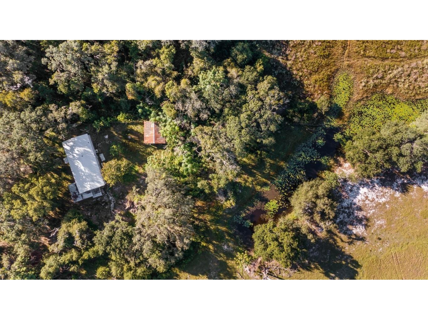 23158 E Loop Road Groveland FL 34736 G5103621 image13