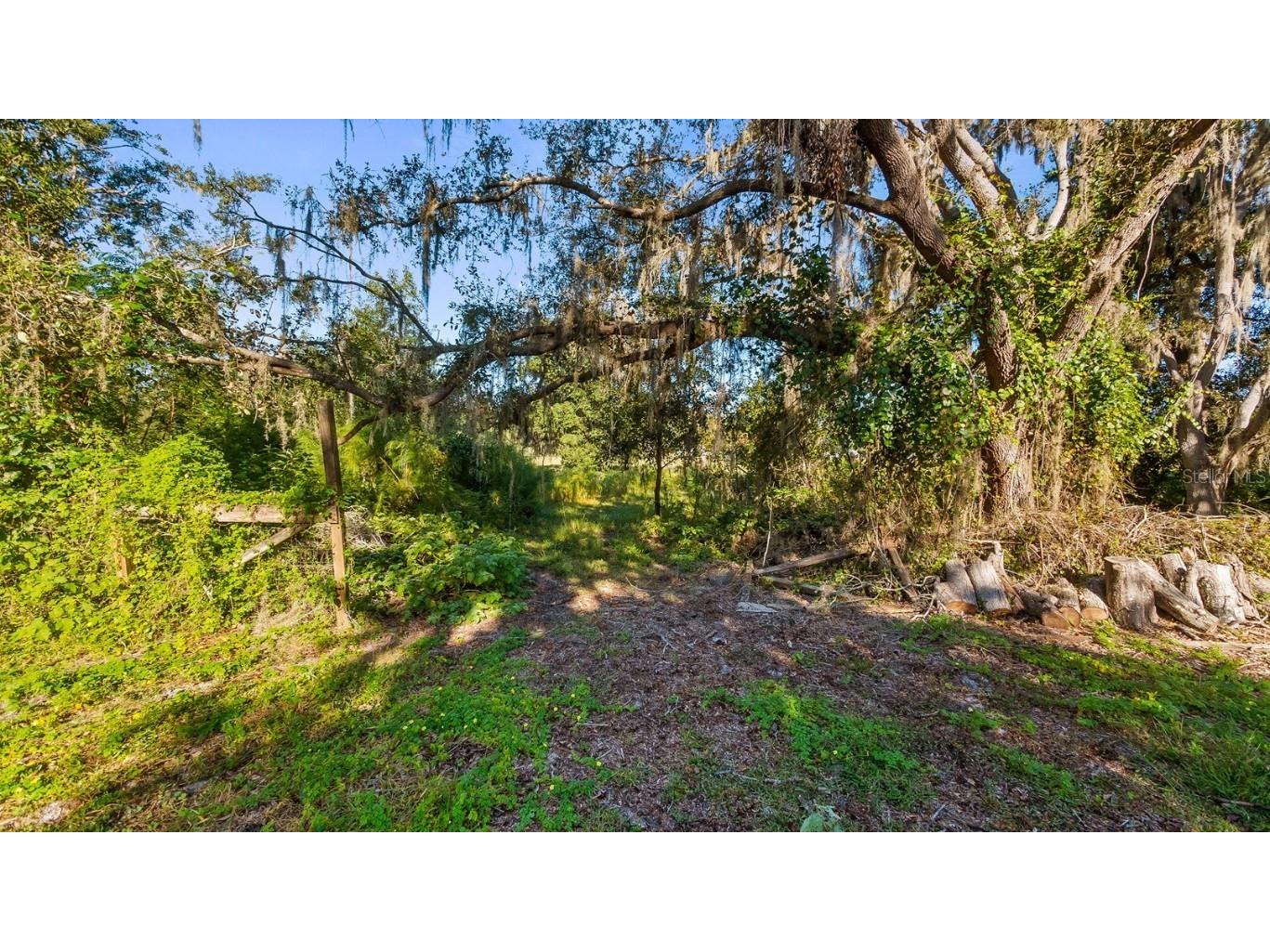 23158 E Loop Road Groveland FL 34736 G5103621 image20