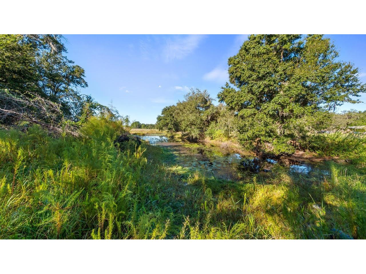 23158 E Loop Road Groveland FL 34736 G5103621 image22