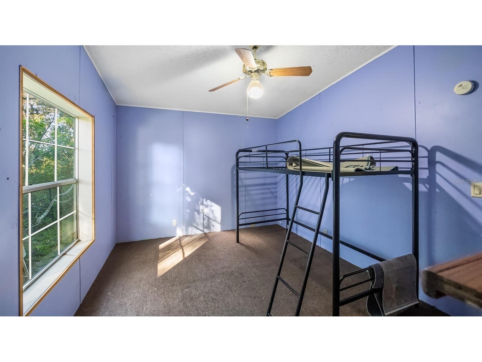 23158 Loop Road Groveland FL 34736 G5113172 image12