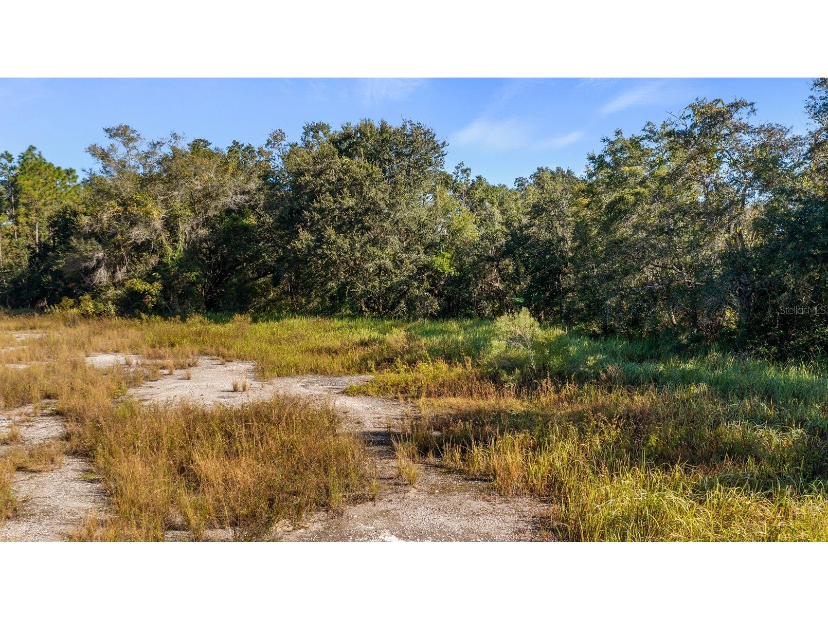 23158 Loop Road Groveland FL 34736 G5113172 image20