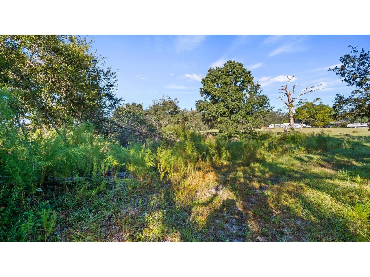 23158 Loop Road Groveland FL 34736 G5113172 image21
