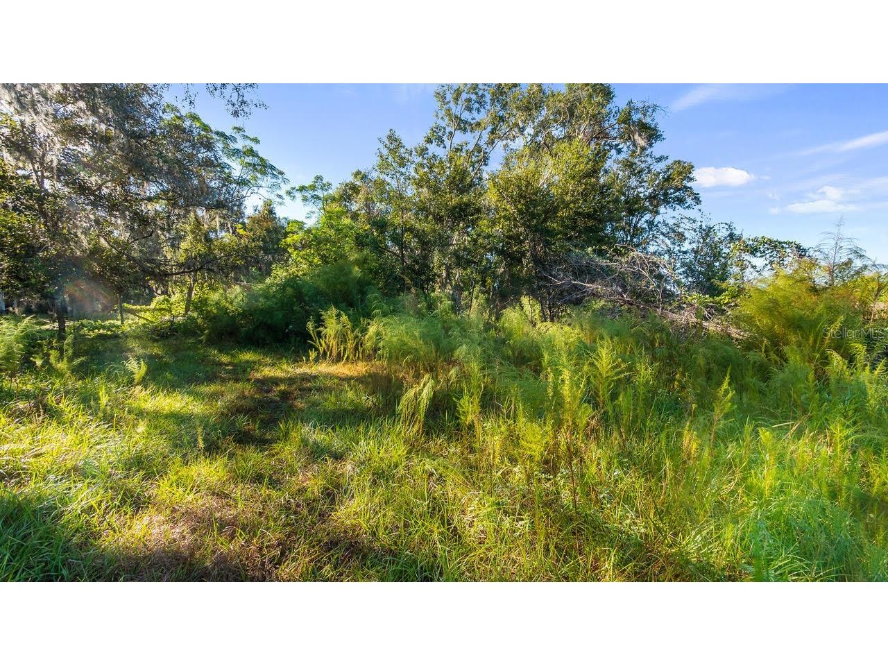 23158 Loop Road Groveland FL 34736 G5113172 image22