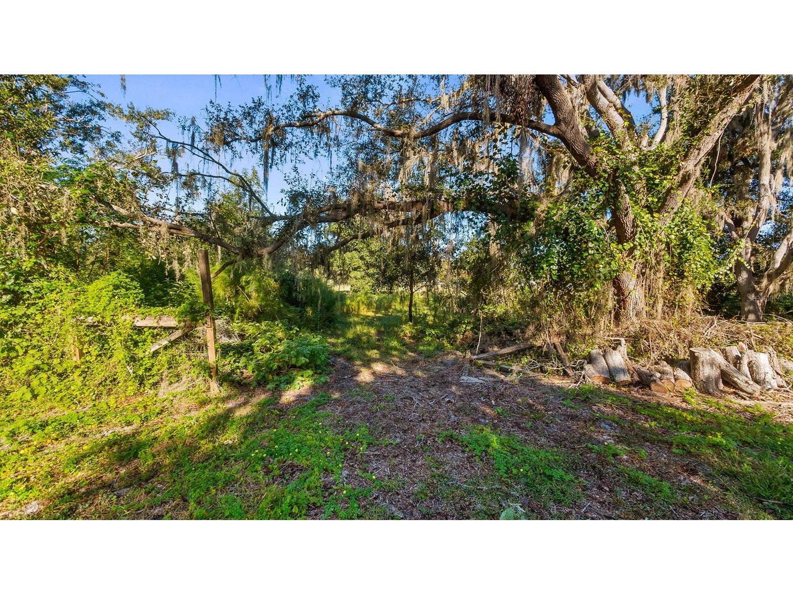 23158 Loop Road Groveland FL 34736 G5113172 image30