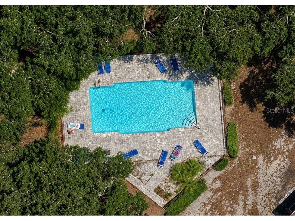 2316 Fletchers Point Circle Tampa FL 33613 TB8506830 image47