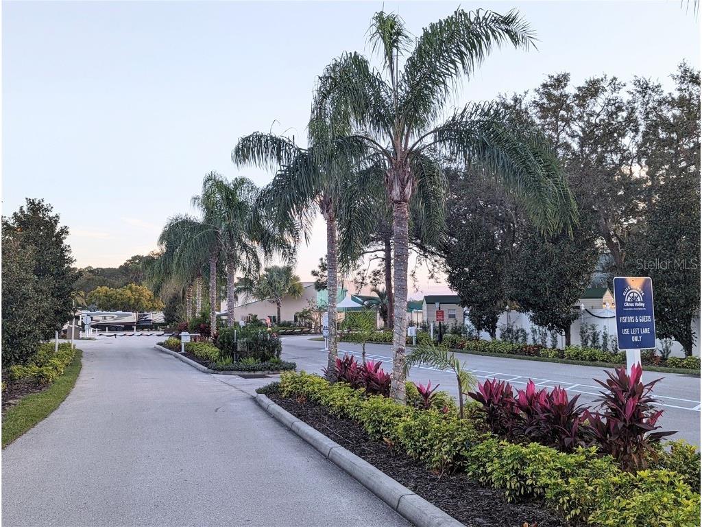 2316 Limewood Avenue Clermont FL 34714 L4954223 image9