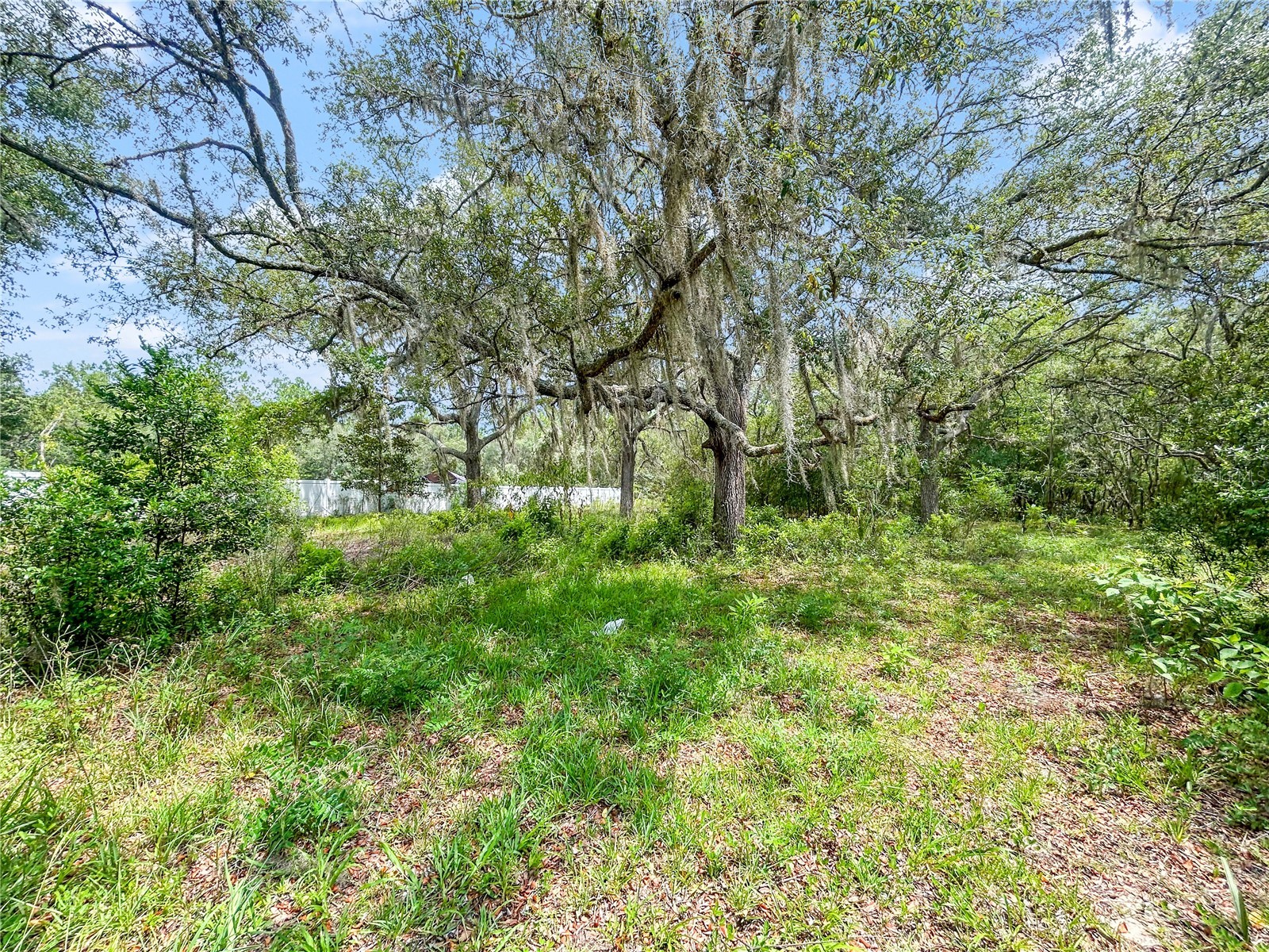 23162 SW Neptune Boulevard Dunnellon FL 34431 TB8524362 image3
