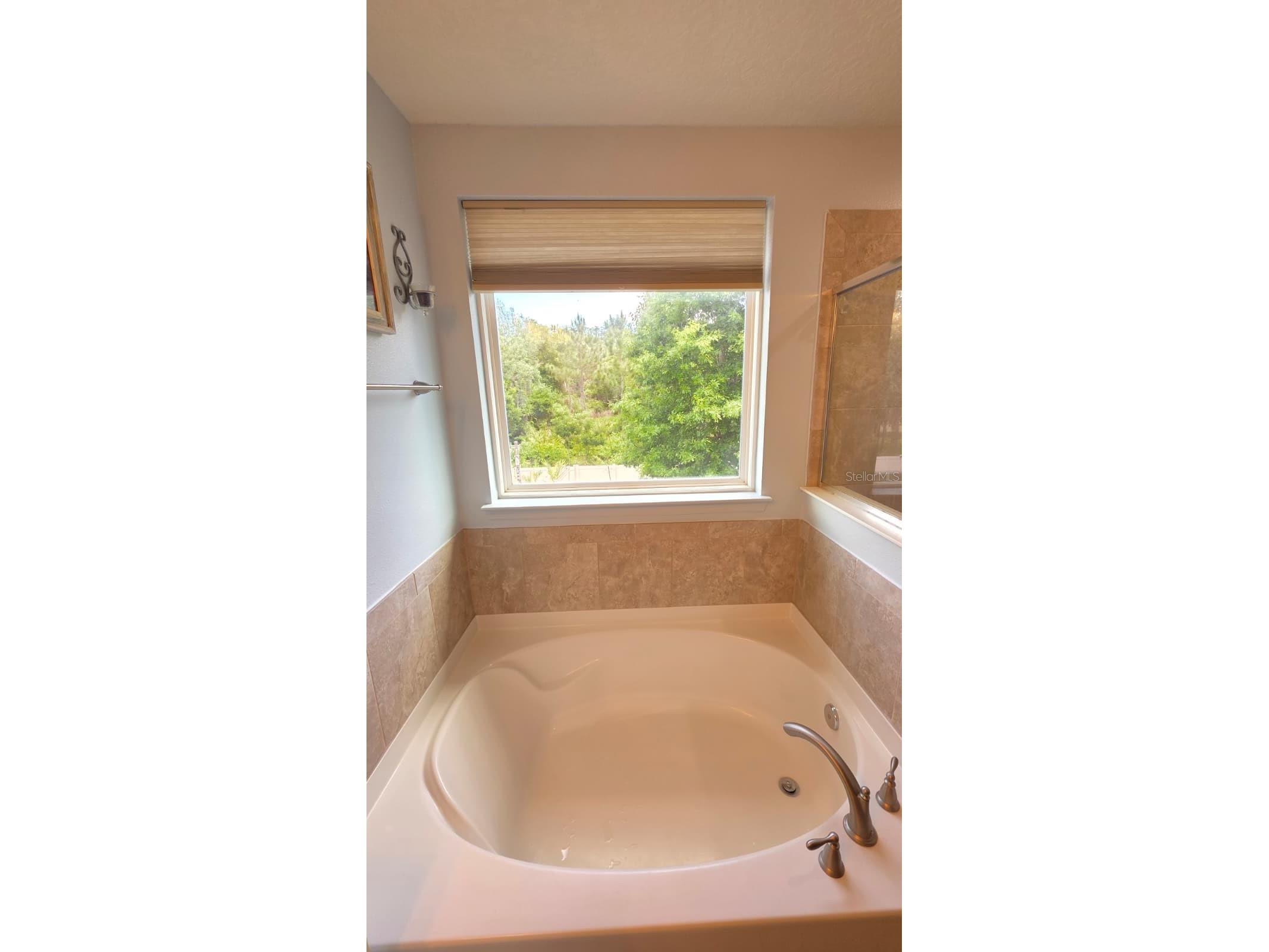 2317 Avellino Avenue Saint Cloud FL 34771 S5146928 image55