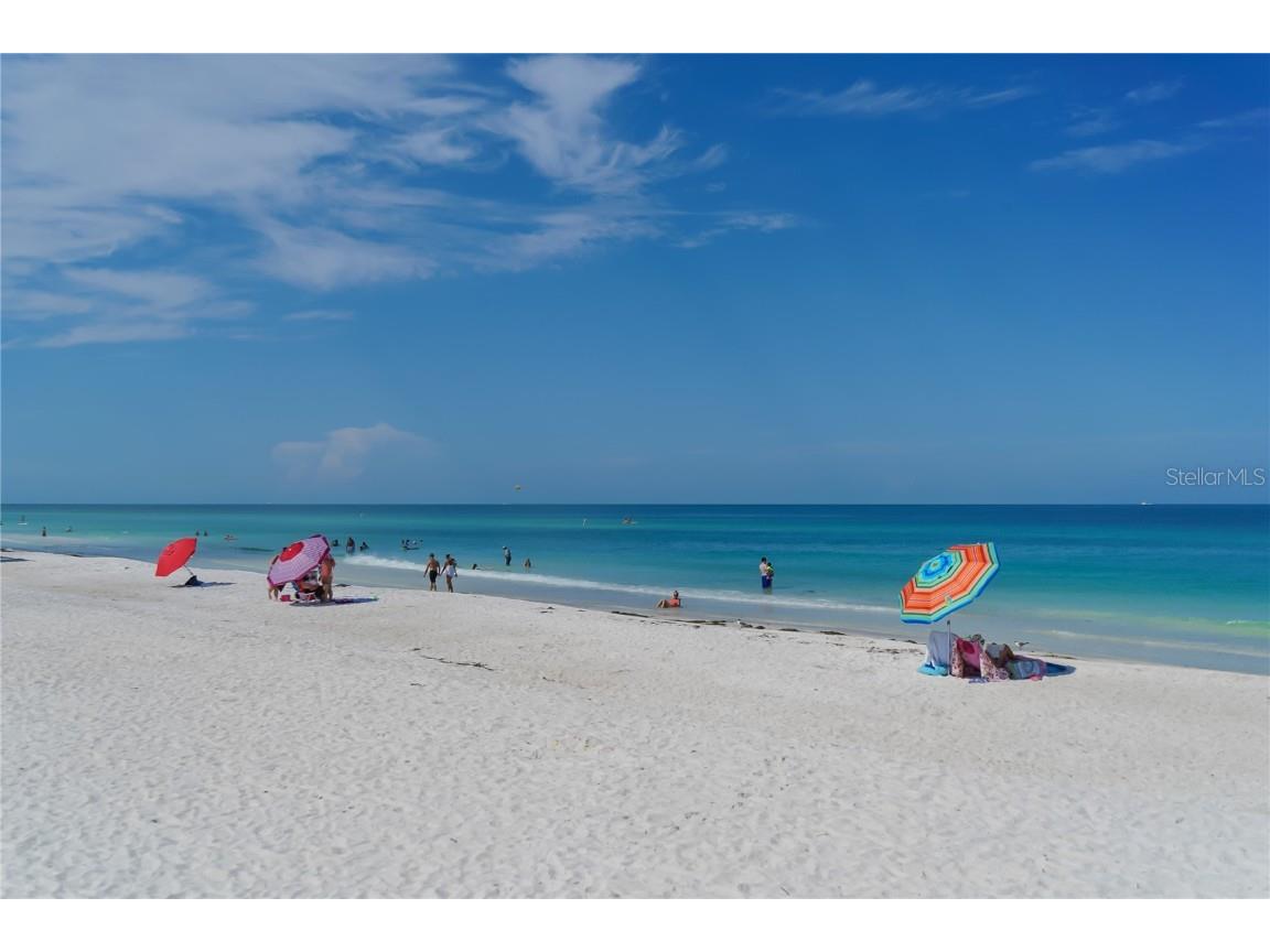 2317 Avenue C #300 Bradenton Beach FL 34217 A4671533 image59