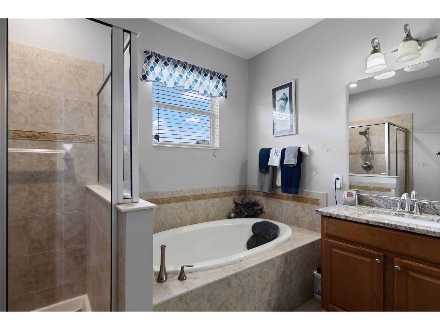 2317 Crosston Circle Orlando FL 32824 O6421753 image58