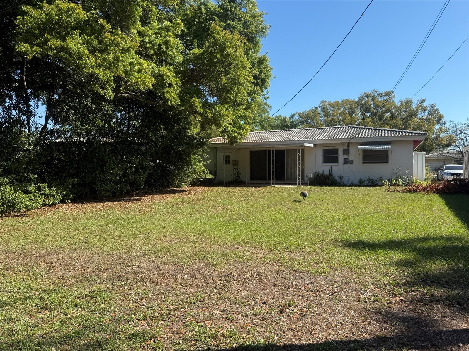 2317 Indigo Drive Clearwater FL 33763 TB8490591 image2